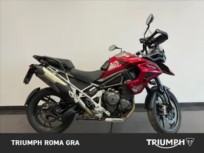 Triumph Tiger 1200 GT Pro (2024 - 26) usata