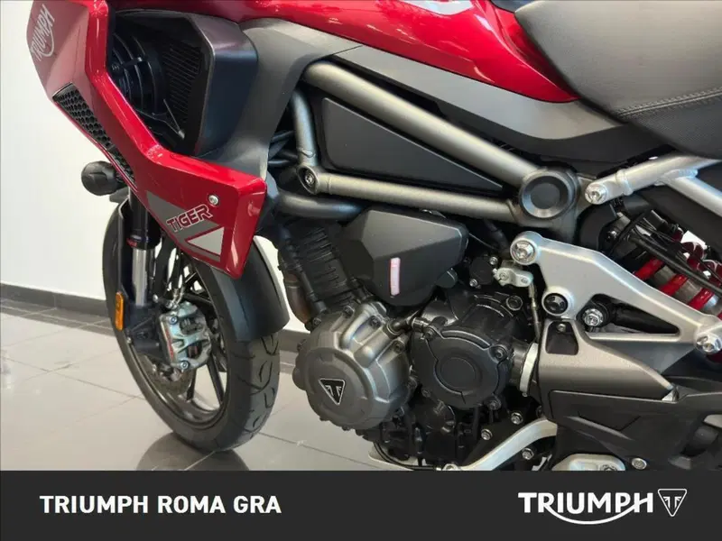 Triumph Tiger 1200 GT Pro (2024 - 26) (8)