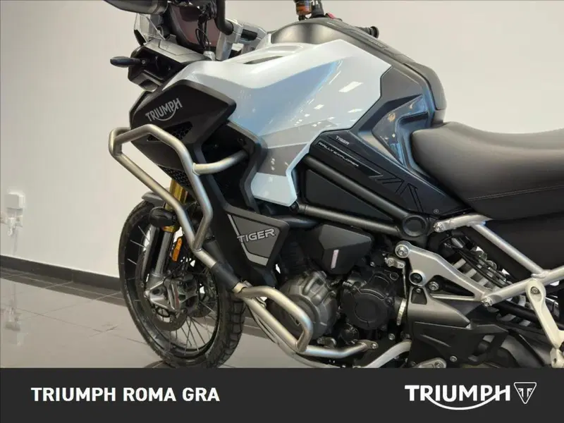 Triumph Tiger 1200 Rally Explorer (2022 - 23) (10)