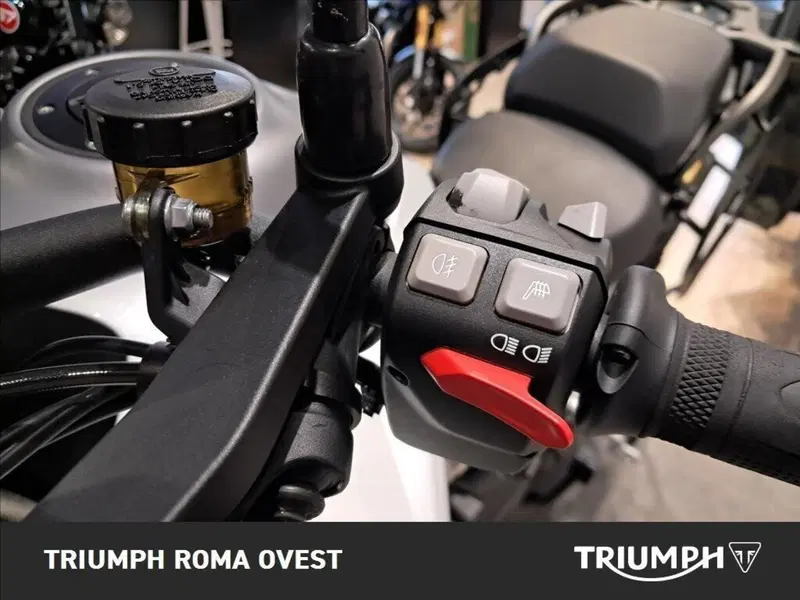 Triumph Tiger 1200 GT Pro (2022 - 23) (13)