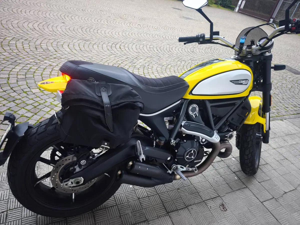 Ducati Scrambler 800 Icon (2021 - 22) (2)