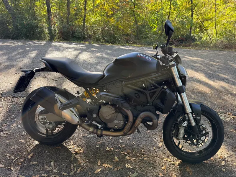 Ducati Monster 821 Dark ABS (2014 - 16) (4)