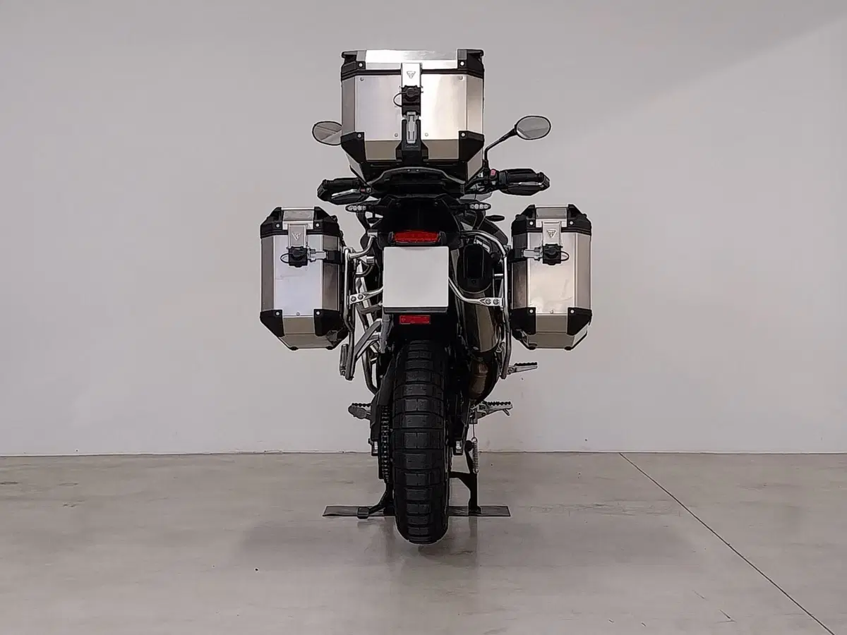 Triumph Tiger 900 GT Aragón Edition (2023 - 24) (5)