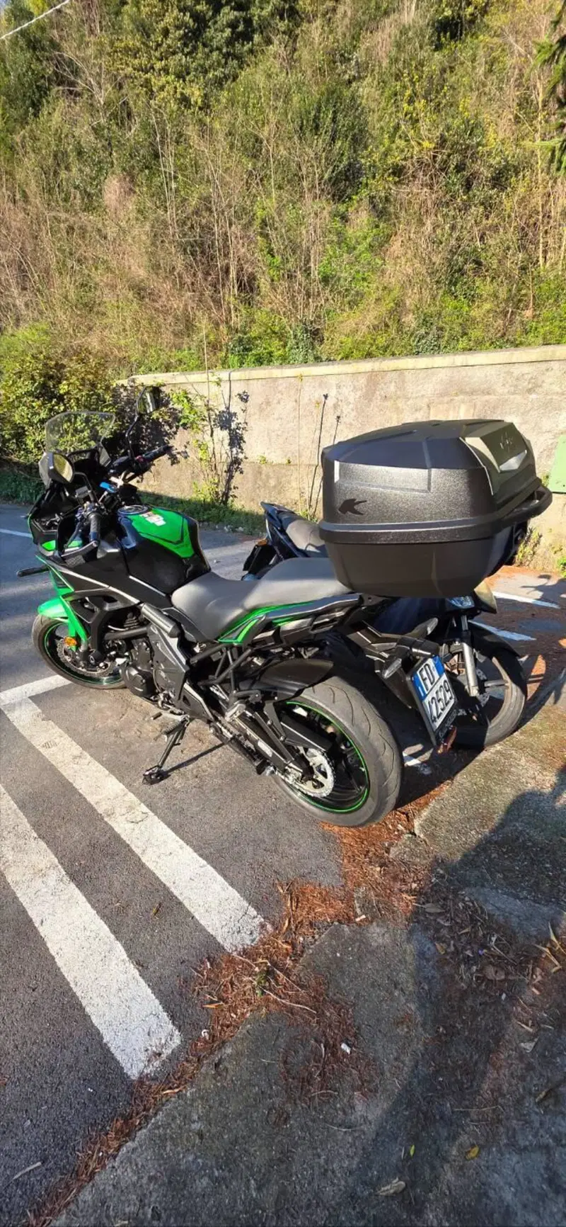 Kawasaki Versys 650 (2021 - 24) (4)