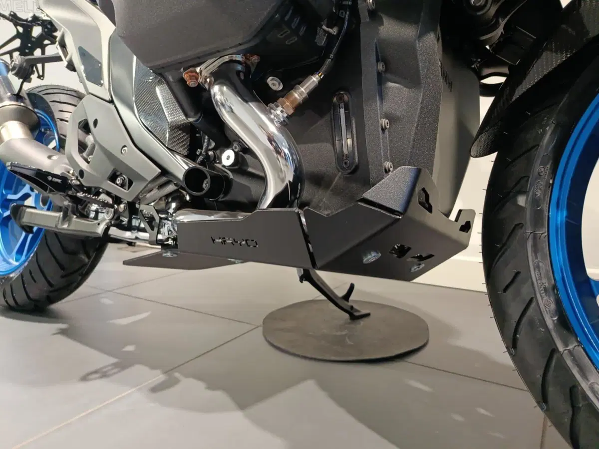 Bmw R 1300 GS ASA (2024 - 26) (6)