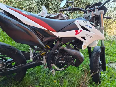 Betamotor RR 50 Motard (2013) usata