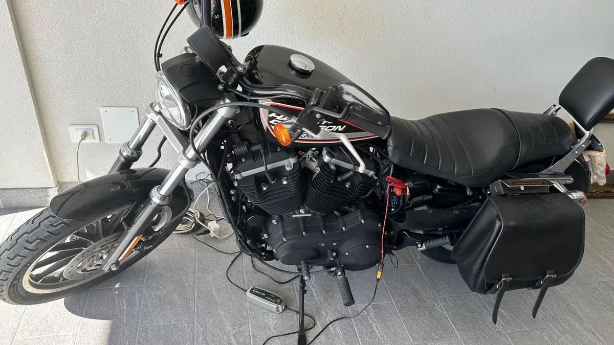 Harley-Davidson 883 (2008 - 09) - XL