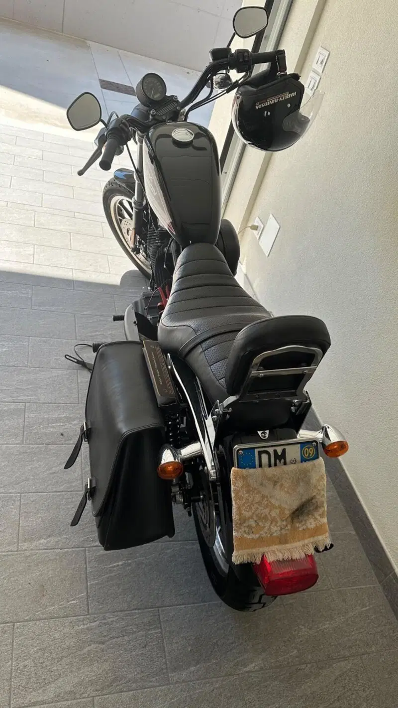 Harley-Davidson 883 (2008 - 09) - XL (2)