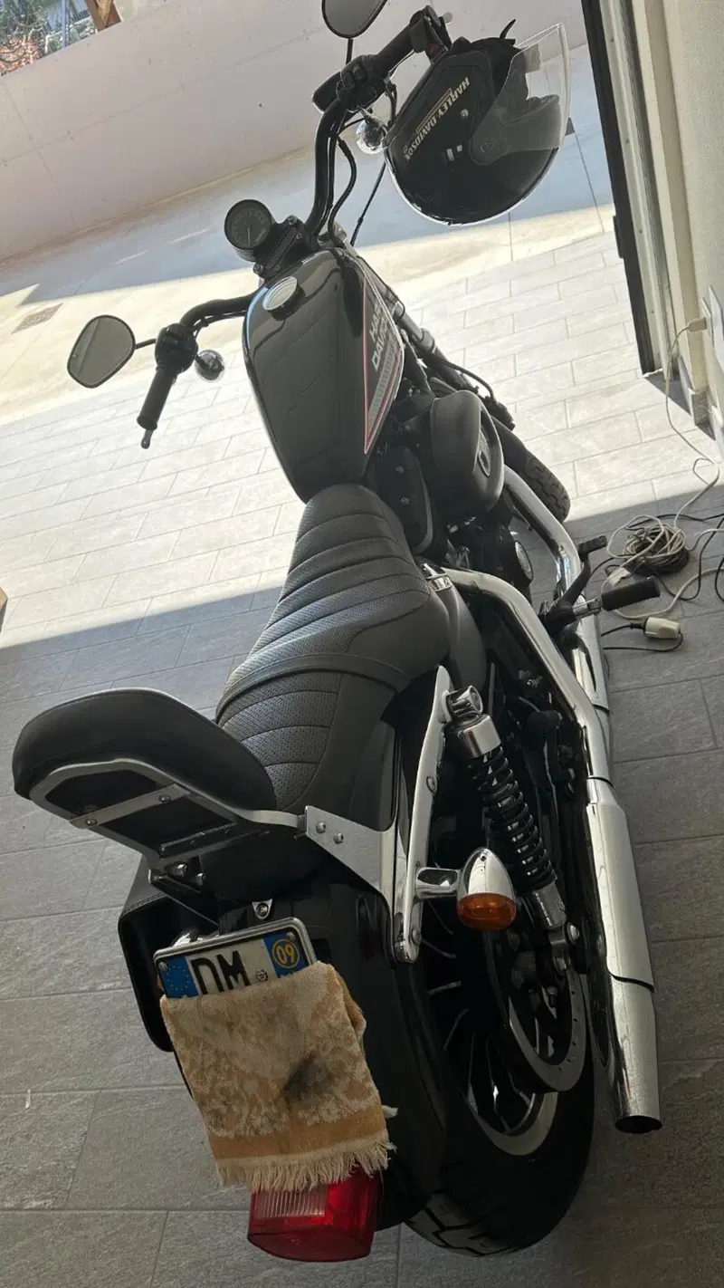 Harley-Davidson 883 (2008 - 09) - XL (6)