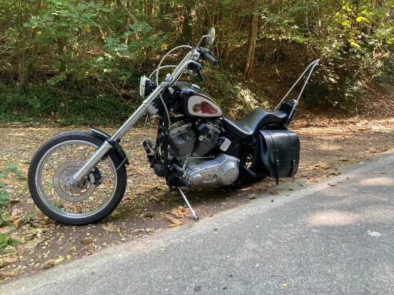 Harley-Davidson 1450 Standard (2002 - 05) - FXSTI (3)