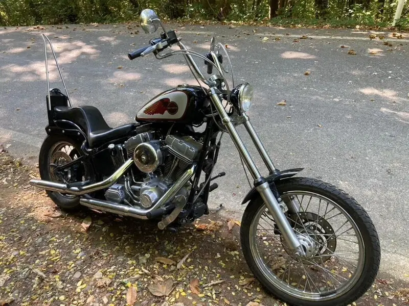 Harley-Davidson 1450 Standard (2002 - 05) - FXSTI (4)