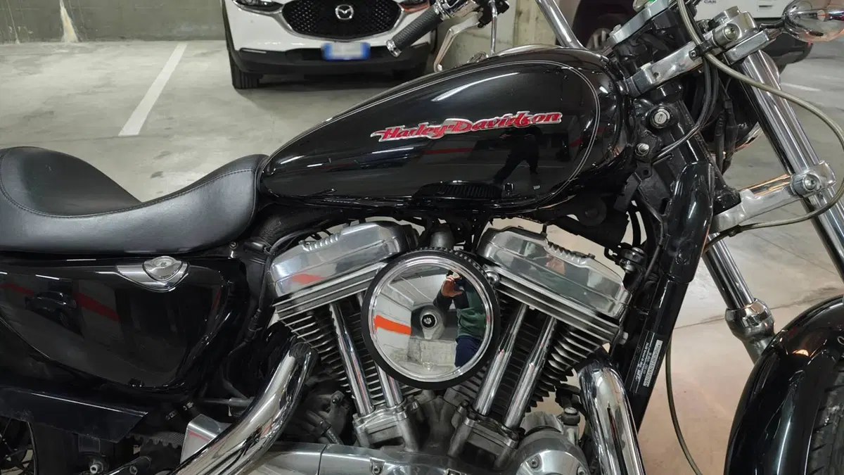 Harley-Davidson 883 (2006 - 07) - XL (6)