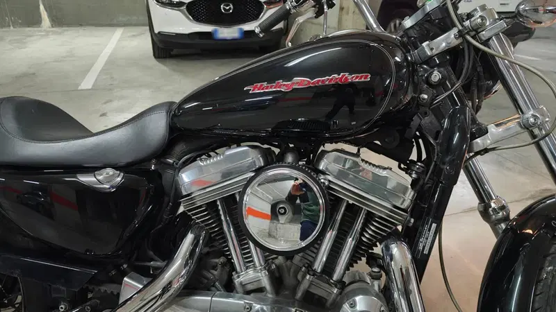 Harley-Davidson 883 (2006 - 07) - XL (6)