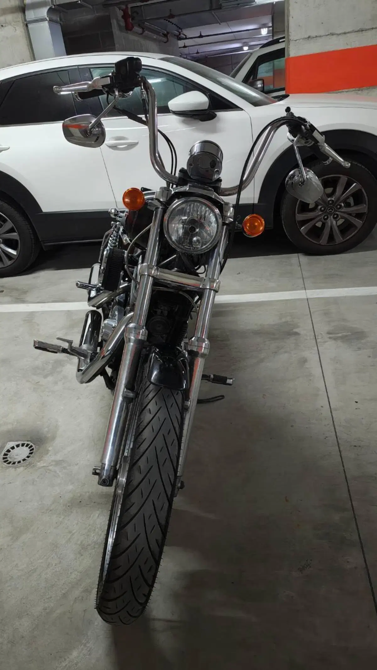 Harley-Davidson 883 (2006 - 07) - XL (8)