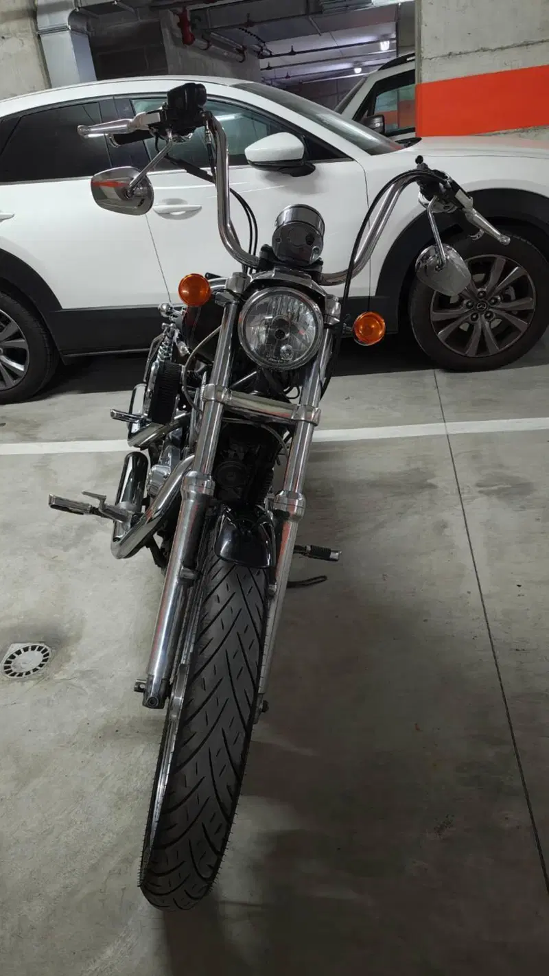 Harley-Davidson 883 (2006 - 07) - XL (8)