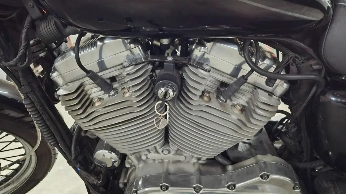 Harley-Davidson 883 (2006 - 07) - XL (10)
