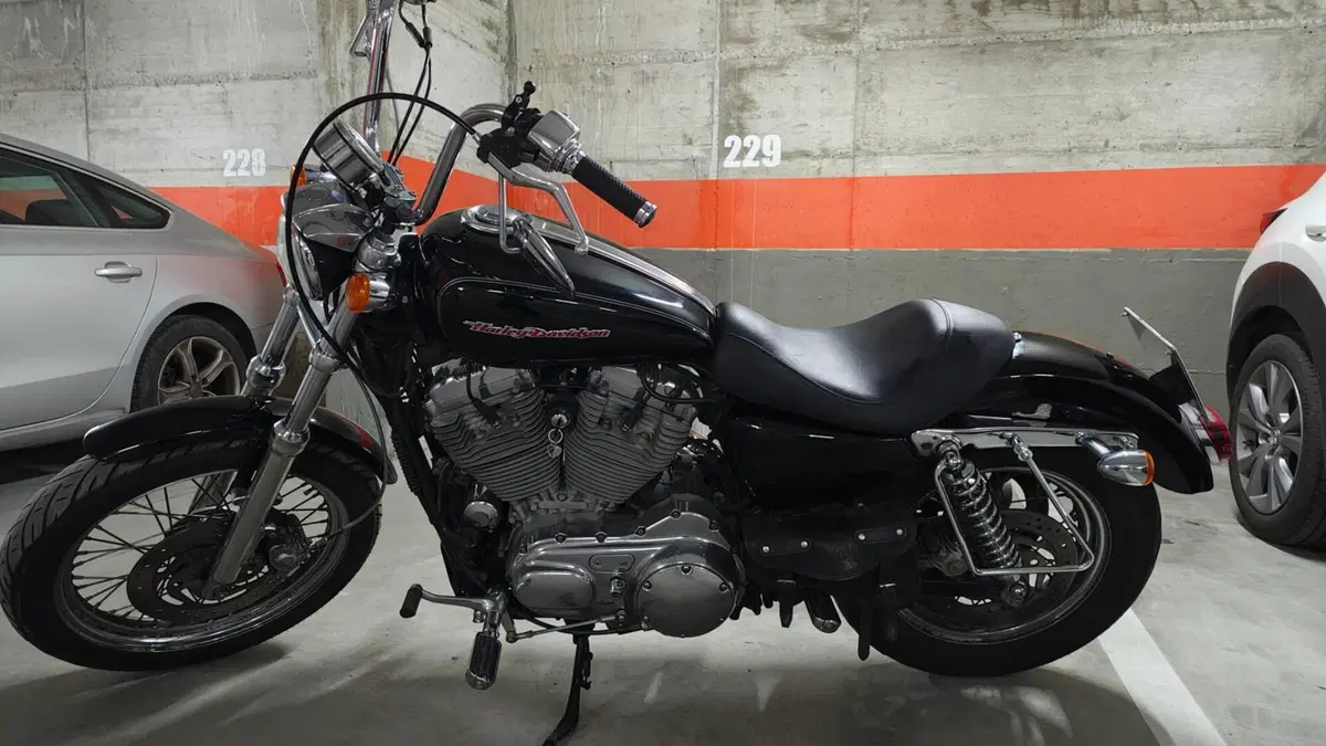 Harley-Davidson 883 (2006 - 07) - XL (11)