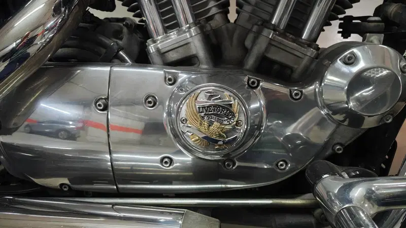 Harley-Davidson 883 (2006 - 07) - XL (14)