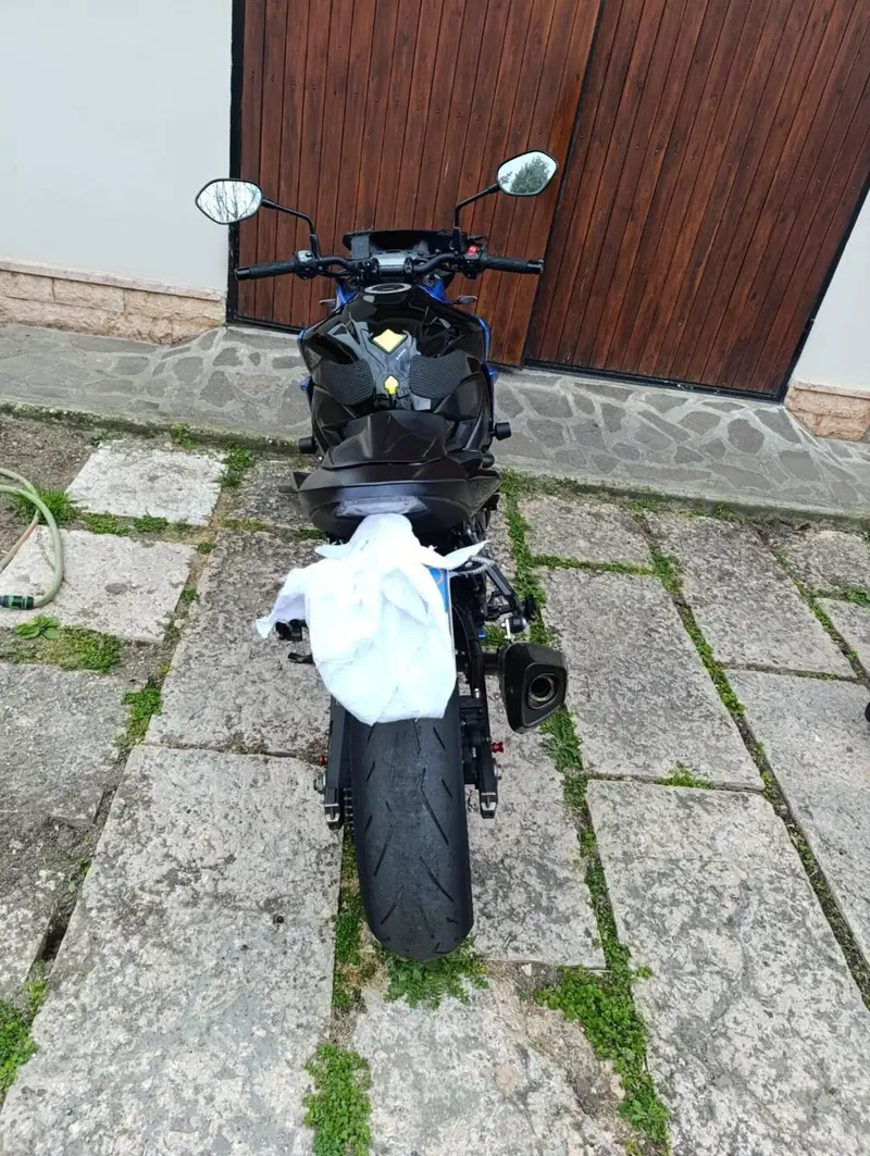 Suzuki GSX S 750 Yugen (2018 - 20) (8)