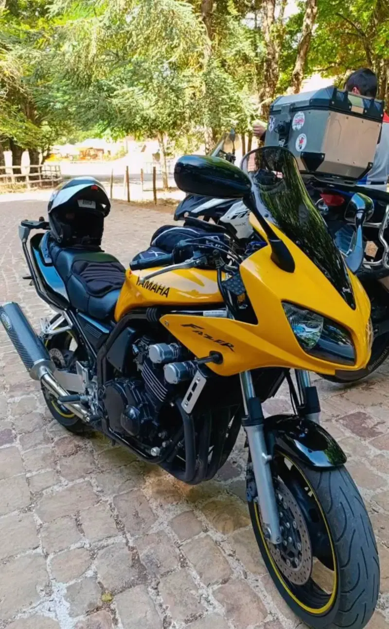 Yamaha FZS 600 Fazer (2002 - 03) (2)