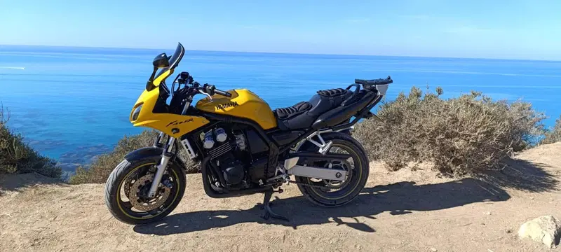 Yamaha FZS 600 Fazer (2002 - 03) (4)
