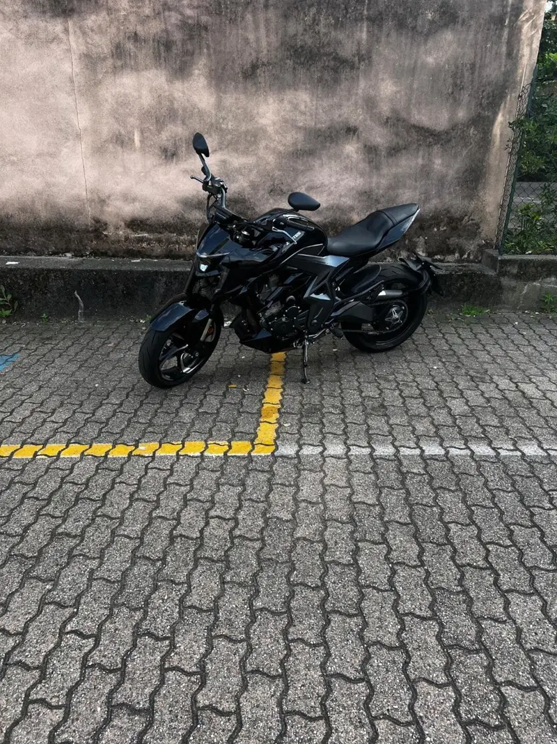 Zontes ZT350-R1 (2022 - 25) (4)