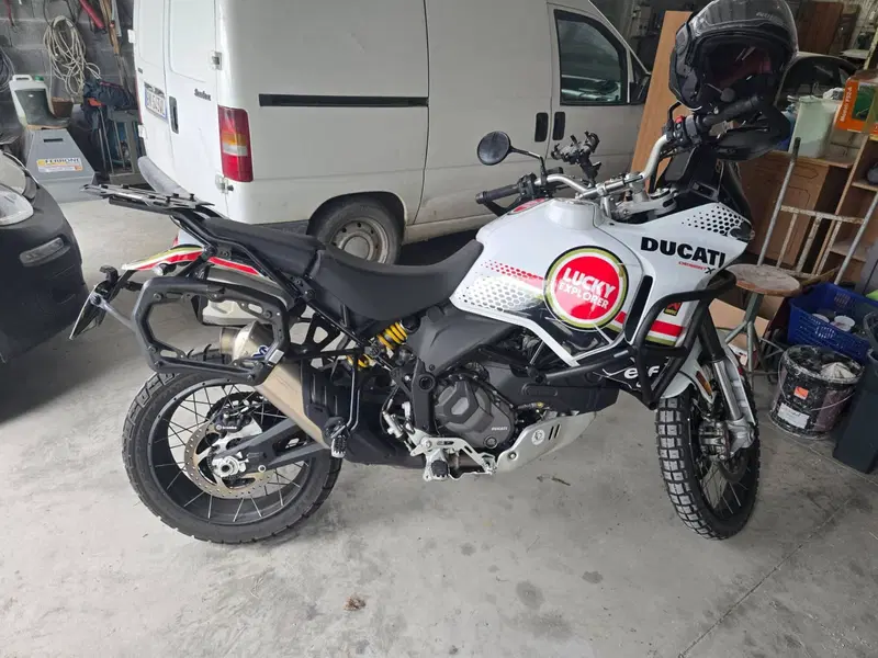 Ducati DesertX (2022 - 25) (13)