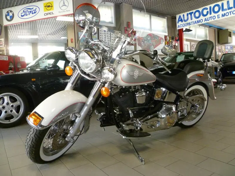Harley-Davidson FLSTN HERITAGE SOFTAIL NOSTALGIA  (3)