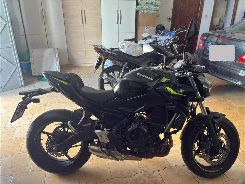 Kawasaki Z 650 (2021 - 24)
