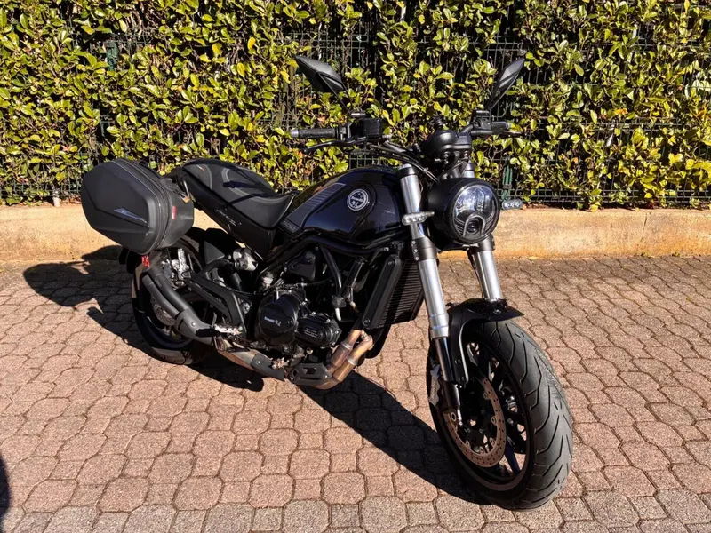 Benelli Leoncino 500 (2021 - 25) (5)