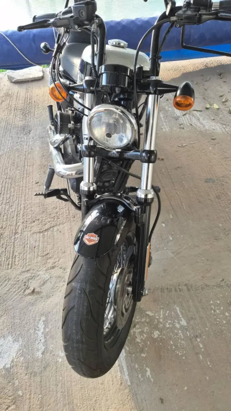 Harley-Davidson XL 1200 X Forty-Eight (2018) (7)