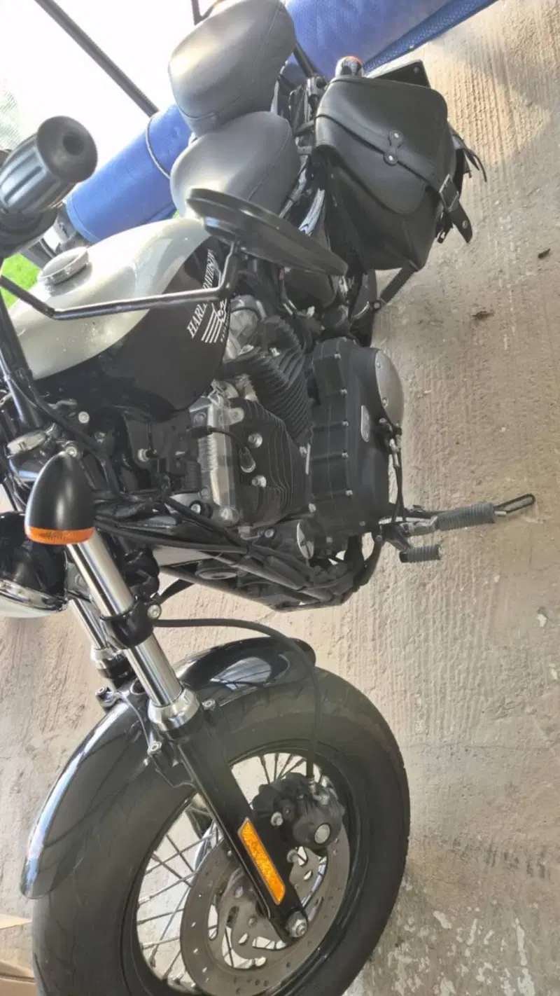 Harley-Davidson XL 1200 X Forty-Eight (2018) (8)
