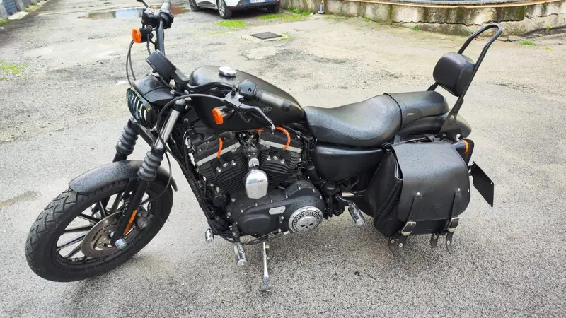Harley-Davidson 883 Iron (2009 - 11) - XL 883N (3)