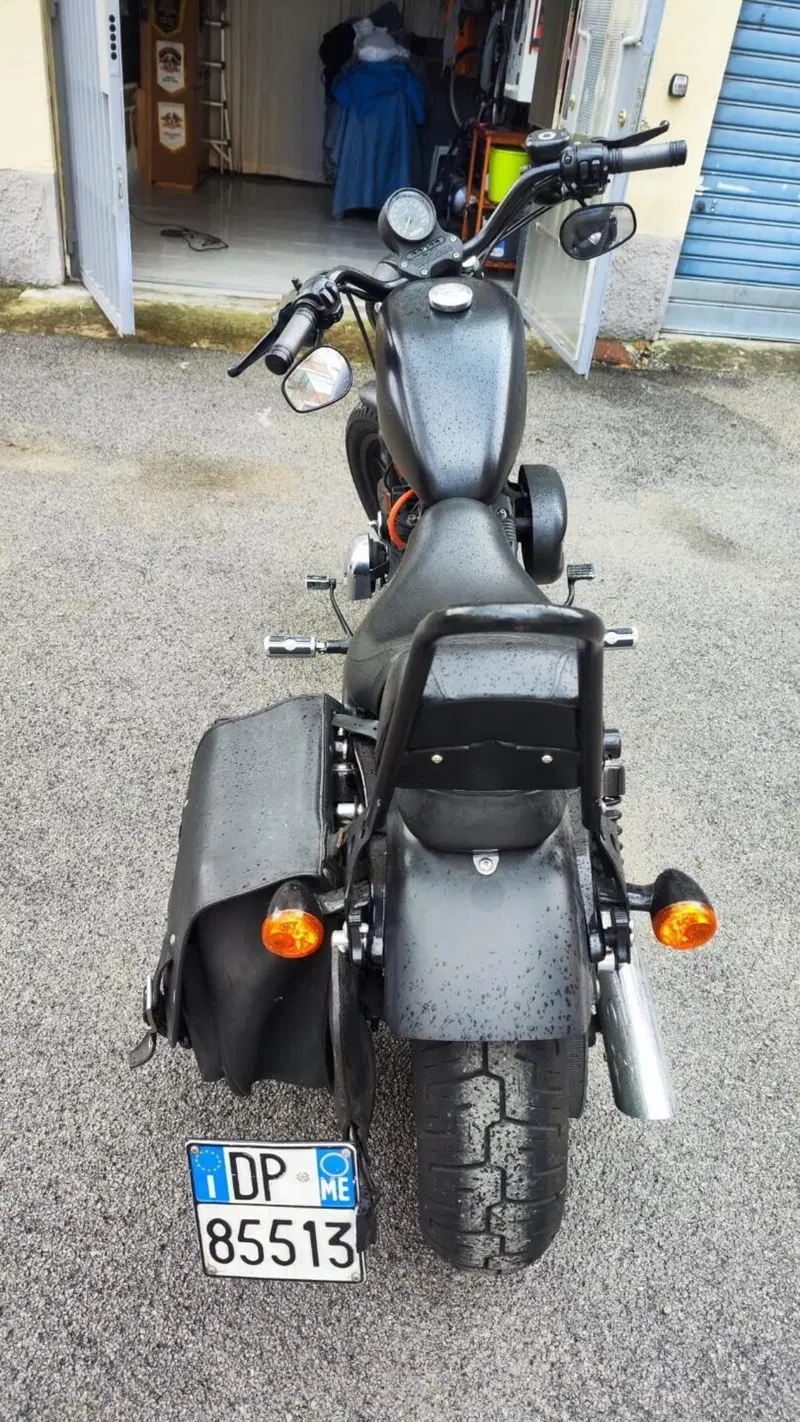 Harley-Davidson 883 Iron (2009 - 11) - XL 883N (5)