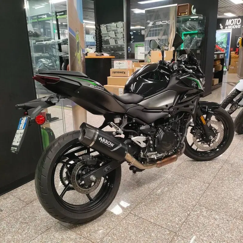 Kawasaki Z 500 (2024 - 26) (2)