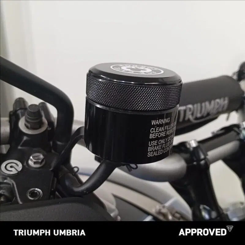 Triumph Scrambler 1200 XE (2019 - 20) (8)