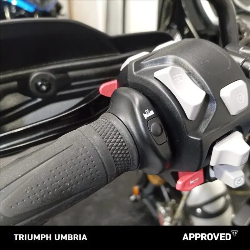 Triumph Scrambler 1200 XE (2019 - 20) (17)
