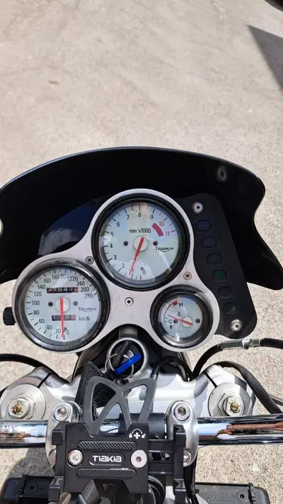 Triumph Speed Triple 955 (1998 - 01) usata