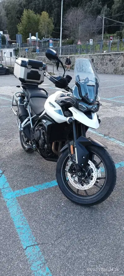 Triumph Tiger 900 GT Pro (2020 - 23) usata