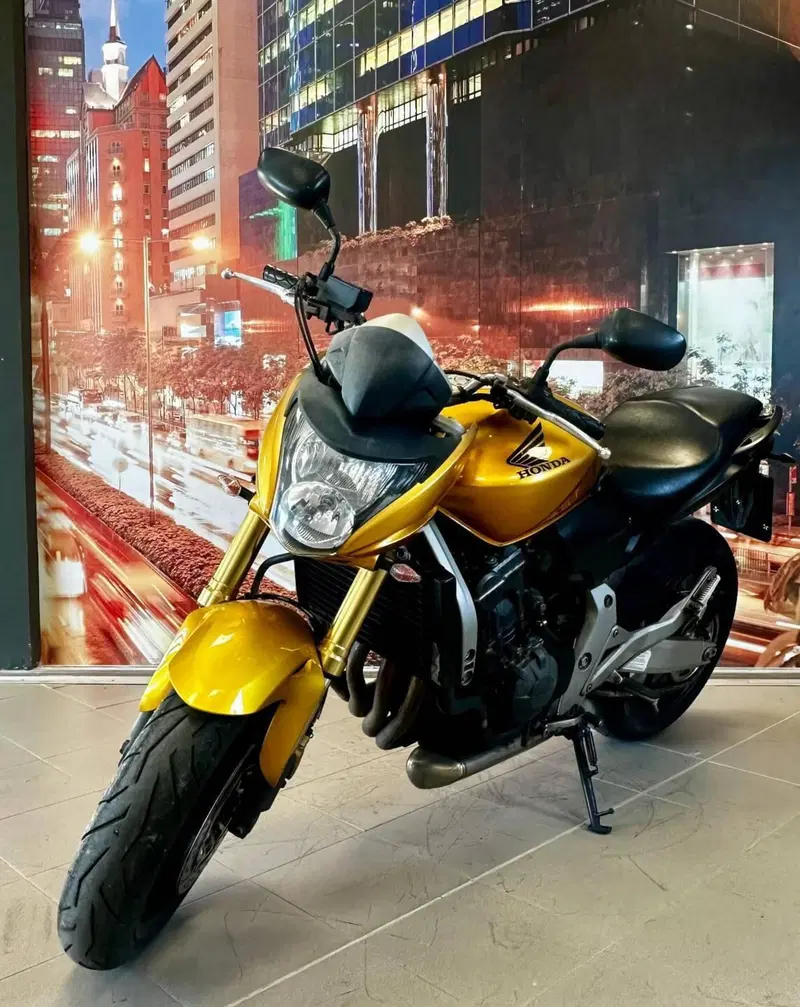 Honda Hornet 600 (2007 - 10) (2)