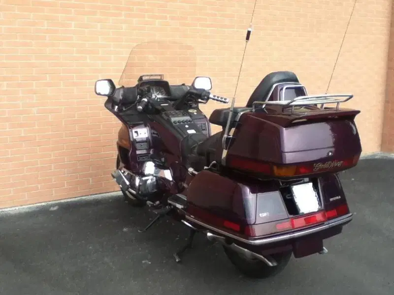 Honda GL 1500 SE Gold Wing (1991 - 02) (10)