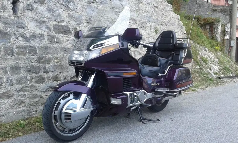 Honda GL 1500 SE Gold Wing (1991 - 02) (17)