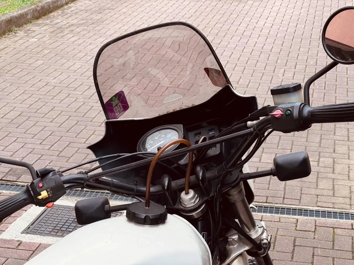 Bmw R80 G/S (7)
