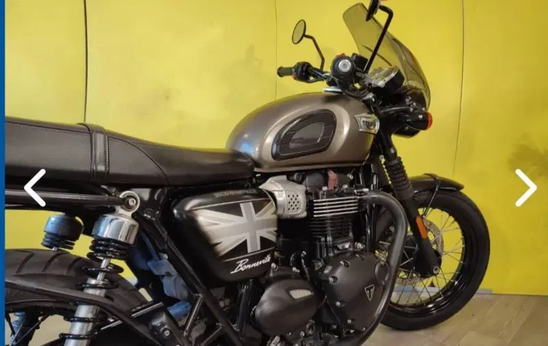 Triumph Bonneville T100 Black (2017 - 20) (8)