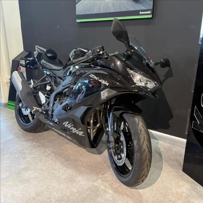 Kawasaki Ninja ZX-4R (2024 - 26) (3)