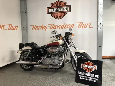Harley-Davidson 883 Low (2008 - 12) - XL 883L usata