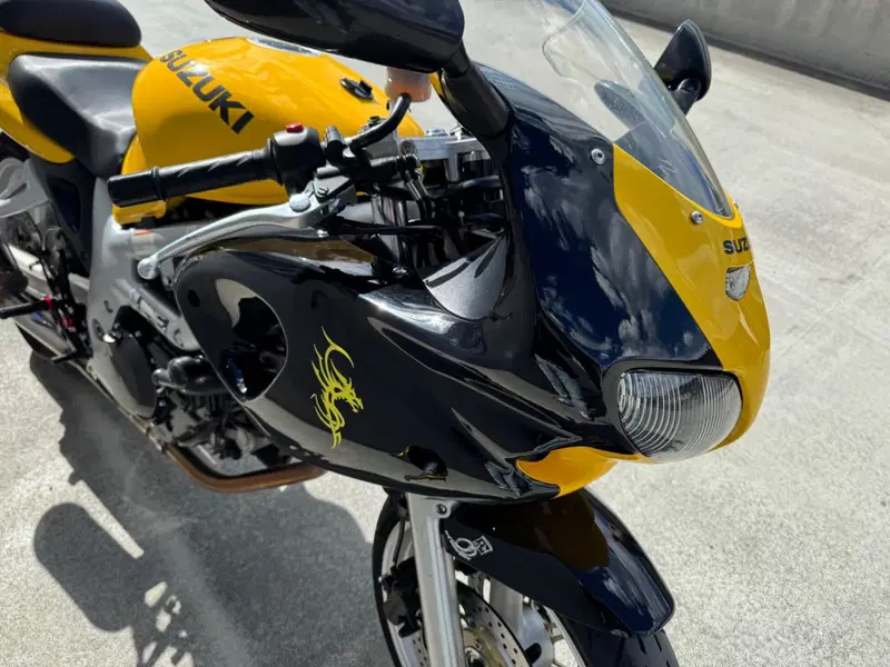 Suzuki SV 650 S (1999 - 02) (6)