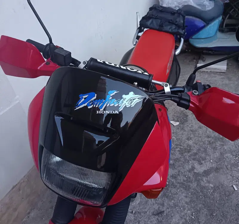 Honda Nx Dominator 650 (3)