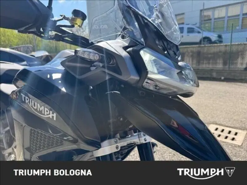 Triumph Tiger 1200 GT Pro (2024 - 26) (3)
