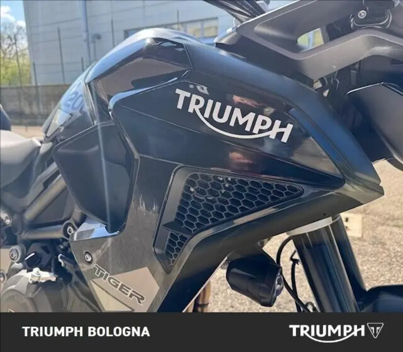 Triumph Tiger 1200 GT Pro (2024 - 26) (4)